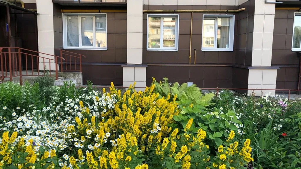 ЖК Малоневский канал 11 - Фото 2